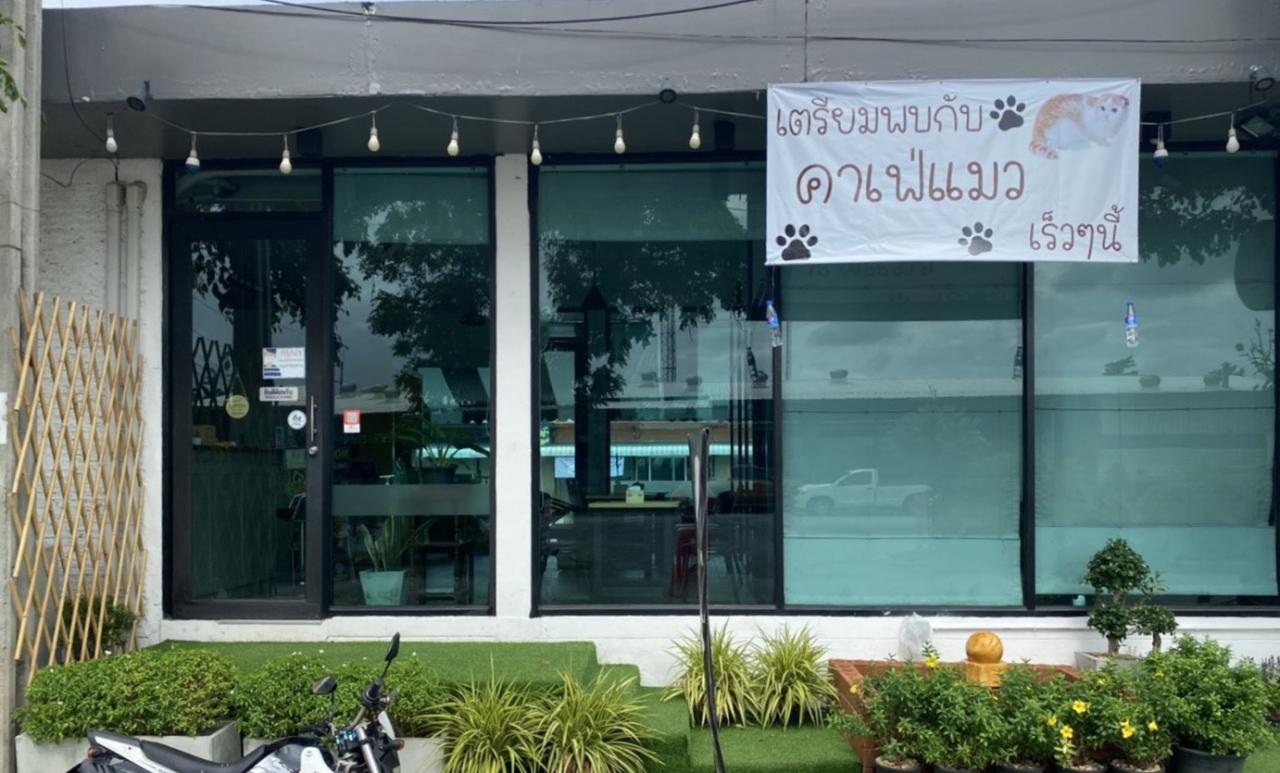 Profile คาเฟ่ Freedom&cat cafe'