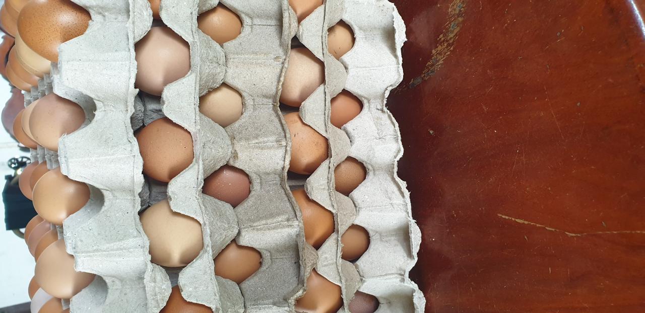 Profile อาหารสด P.M.smile farm